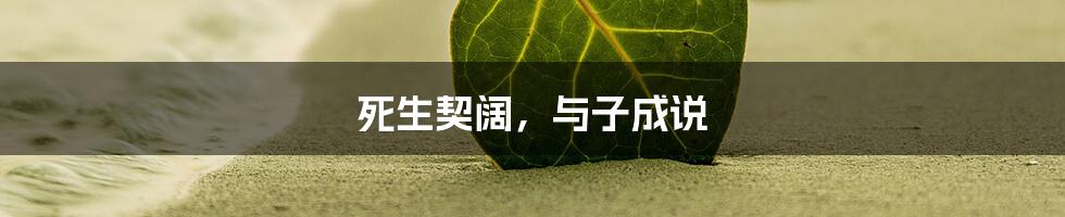 死生契阔，与子成说