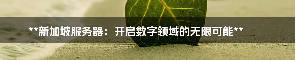 **新加坡服务器:开启数字领域的无限可能**
