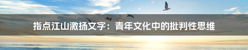 指点江山激扬文字：青年文化中的批判性思维