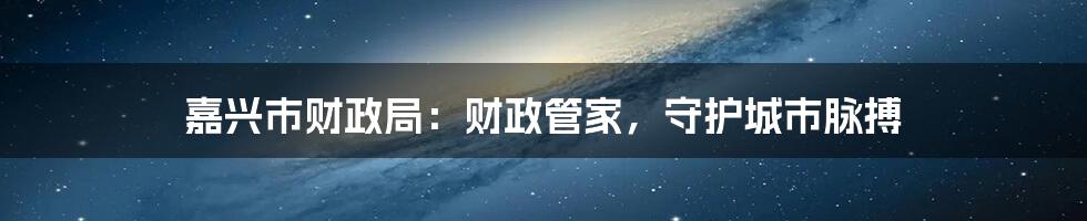 嘉兴市财政局:财政管家,守护城市脉搏