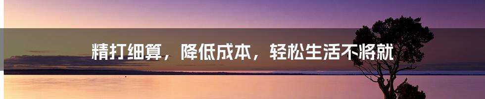 精打细算，降低成本，轻松生活不将就