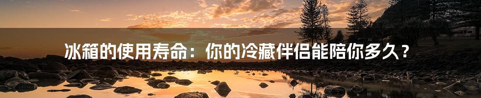 冰箱的使用寿命:你的冷藏伴侣能陪你多久?