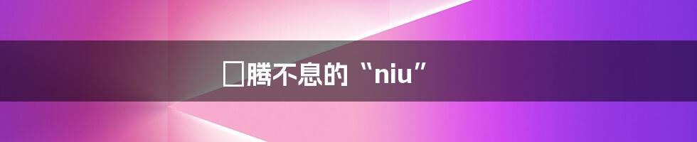 犇腾不息的“niu”