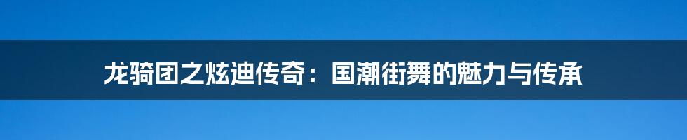 龙骑团之炫迪传奇：国潮街舞的魅力与传承