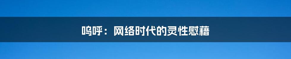 呜呼:网络时代的灵性慰藉
