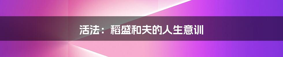 活法:稻盛和夫的人生意训