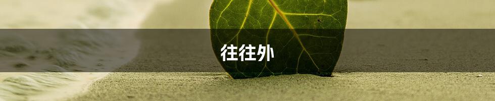 往往外