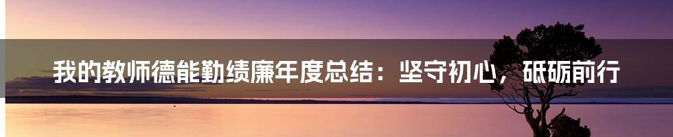 我的教师德能勤绩廉年度总结:坚守初心,砥砺前行