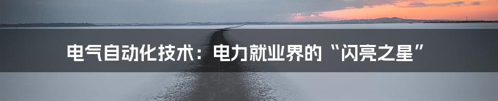 电气自动化技术:电力就业界的“闪亮之星”