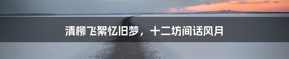 清柳飞絮忆旧梦，十二坊间话风月