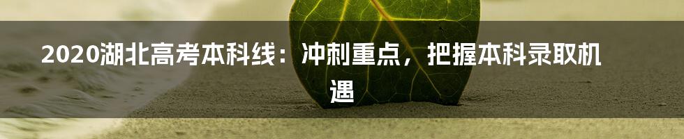 2020湖北高考本科线：冲刺重点，把握本科录取机遇