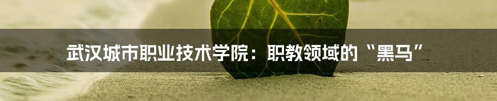 武汉城市职业技术学院:职教领域的“黑马”