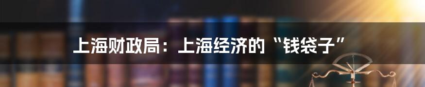 上海财政局：上海经济的“钱袋子”