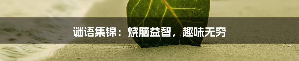 谜语集锦:烧脑益智,趣味无穷