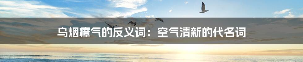 乌烟瘴气的反义词:空气清新的代名词