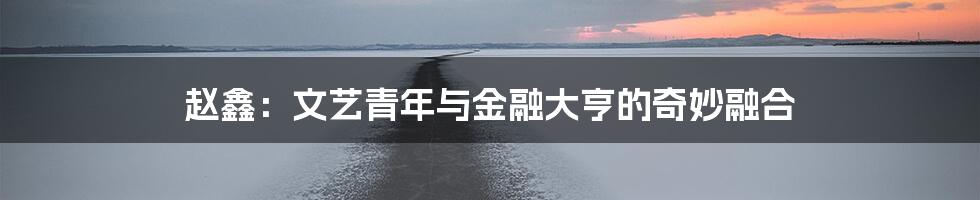 赵鑫:文艺青年与金融大亨的奇妙融合