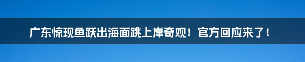 广东惊现鱼跃出海面跳上岸奇观！官方回应来了！