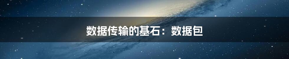 数据传输的基石:数据包