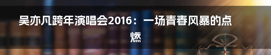 吴亦凡跨年演唱会2016:一场青春风暴的点燃
