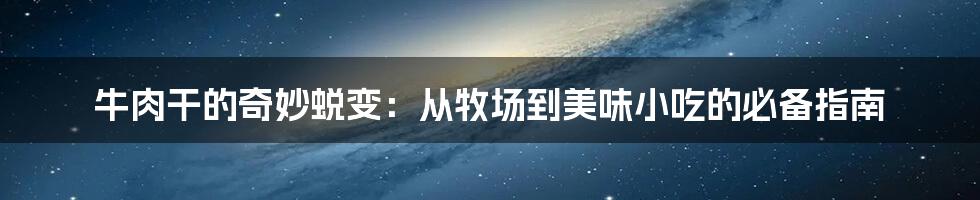 牛肉干的奇妙蜕变:从牧场到美味小吃的必备指南