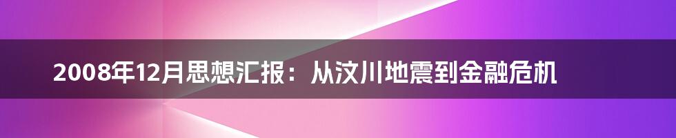 2008年12月思想汇报：从汶川地震到金融危机