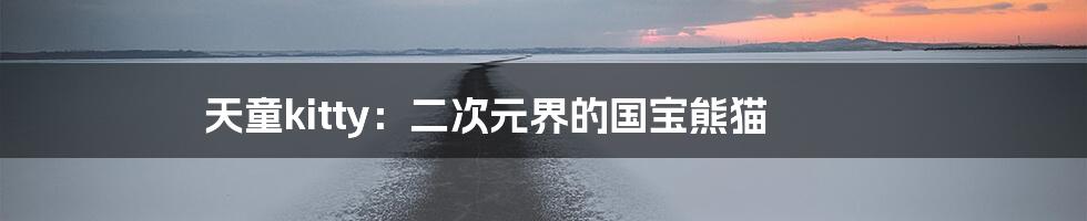 天童kitty:二次元界的国宝熊猫