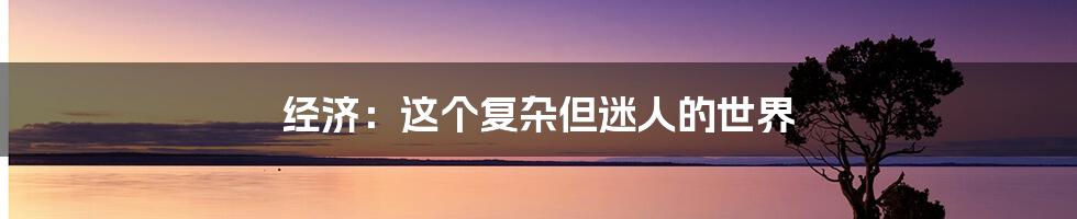 经济：这个复杂但迷人的世界