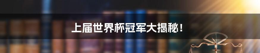 上届世界杯冠军大揭秘!