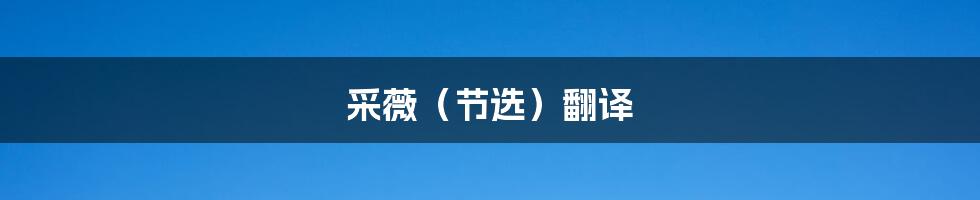 采薇(节选)翻译