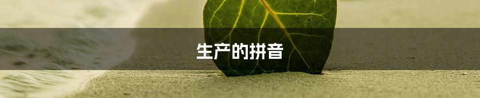 生产的拼音