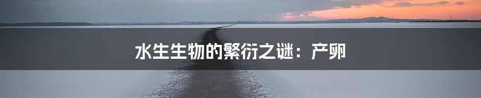 水生生物的繁衍之谜:产卵