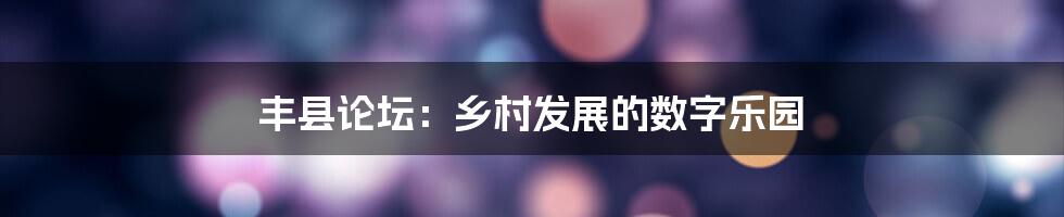 丰县论坛：乡村发展的数字乐园