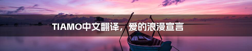 TIAMO中文翻译，爱的浪漫宣言