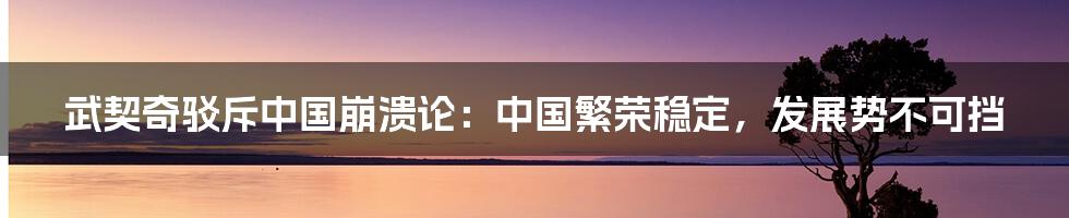 武契奇驳斥中国崩溃论：中国繁荣稳定，发展势不可挡