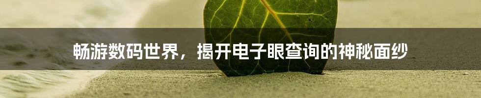 畅游数码世界，揭开电子眼查询的神秘面纱