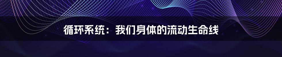 循环系统:我们身体的流动生命线