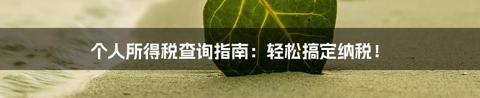个人所得税查询指南:轻松搞定纳税!