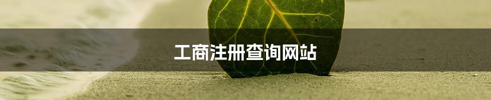 工商注册查询网站