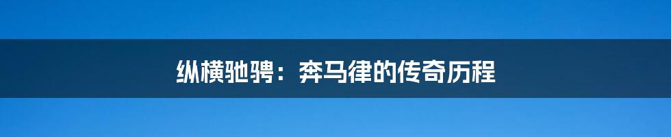 纵横驰骋:奔马律的传奇历程