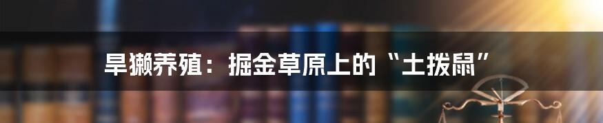 旱獭养殖：掘金草原上的“土拨鼠”