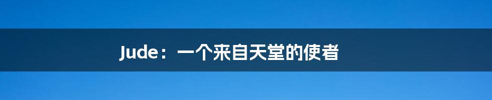 Jude:一个来自天堂的使者