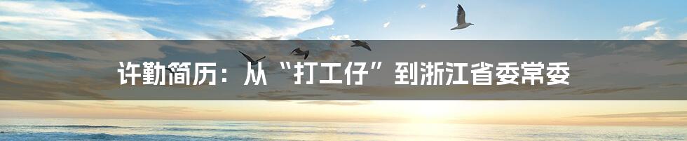 许勤简历:从“打工仔”到浙江省委常委