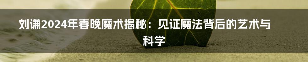 刘谦2024年春晚魔术揭秘：见证魔法背后的艺术与科学