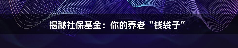 揭秘社保基金：你的养老“钱袋子”