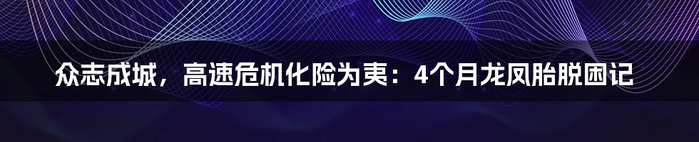 众志成城,高速危机化险为夷:4个月龙凤胎脱困记