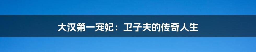 大汉第一宠妃:卫子夫的传奇人生