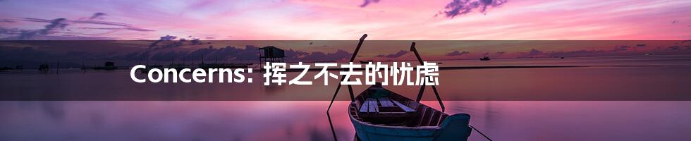 Concerns: 挥之不去的忧虑