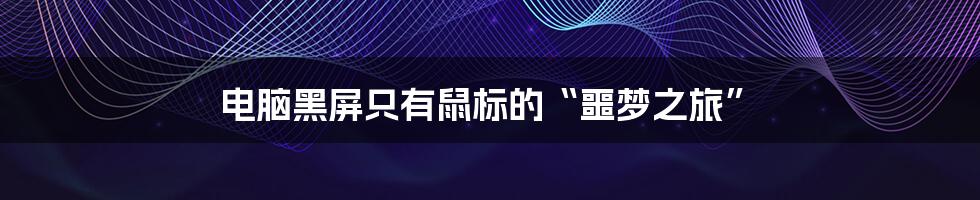 电脑黑屏只有鼠标的“噩梦之旅”