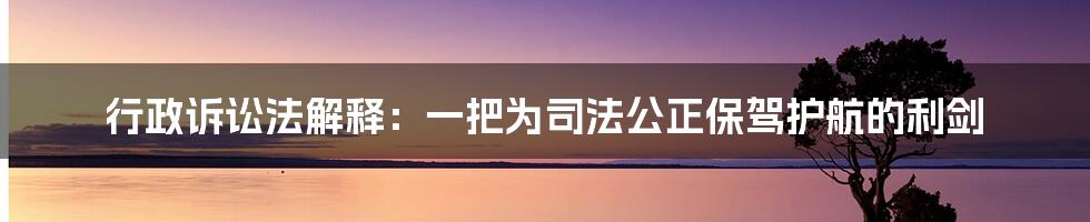 行政诉讼法解释：一把为司法公正保驾护航的利剑