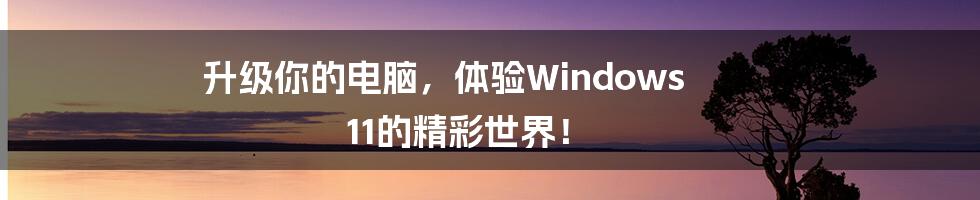 升级你的电脑,体验Windows 11的精彩世界!
